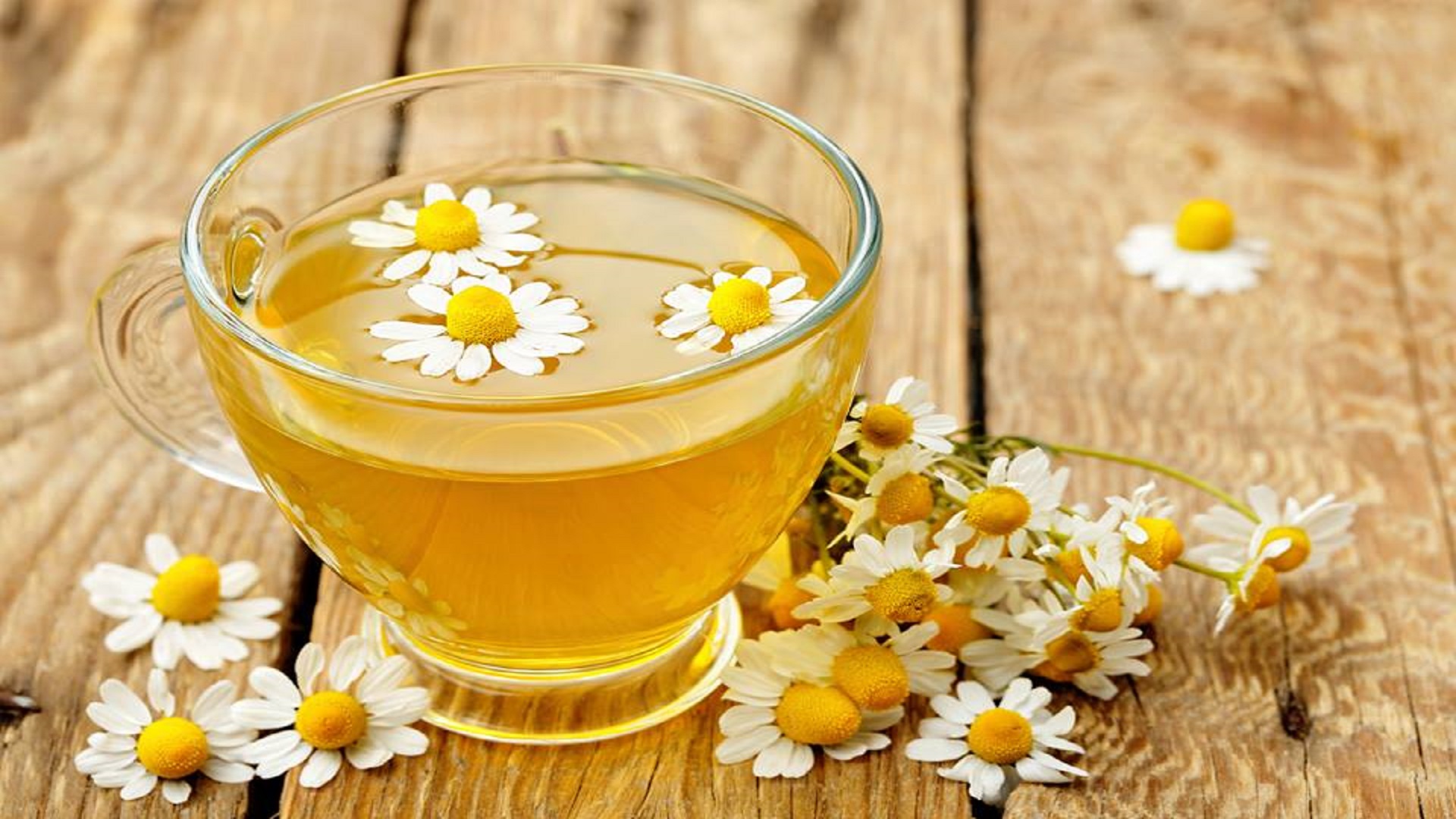 أهم 10 فوائد صحية عشبة البابونج - Tops Arabia