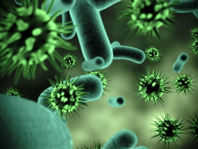 اخطر 10 فيروسات تهدد حياة البشرية