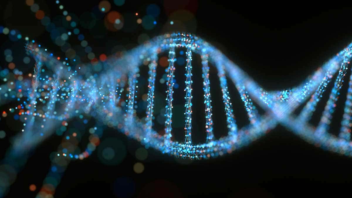 ال dna وعشر حقائق غريبة يمكن أن تكتشفها عنه