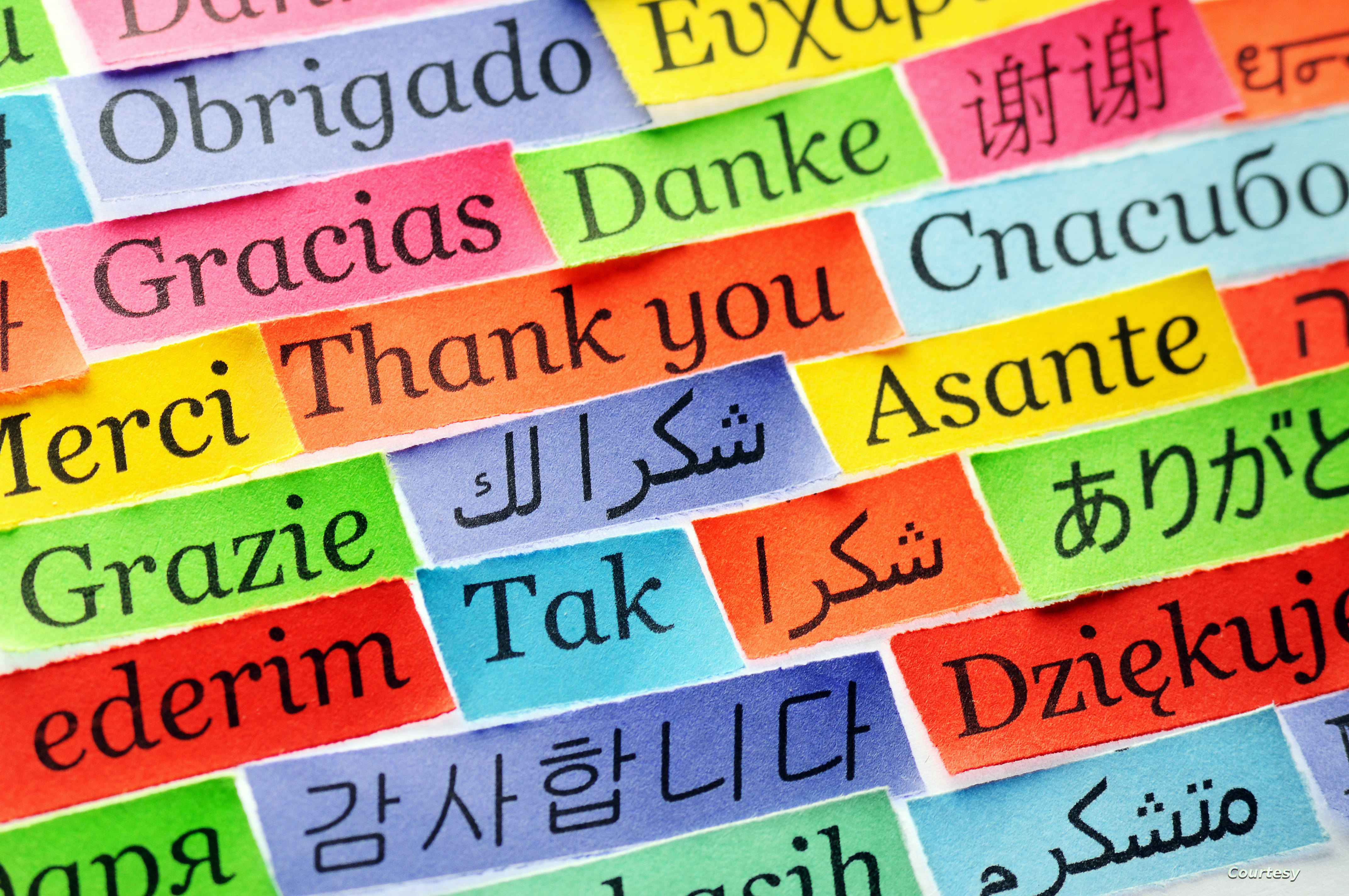أكثر 10 لغات استخداماً في العالم